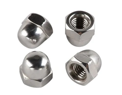 Hastelloy 2.4617 B3 Cap Nuts